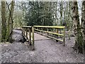 SJ7965 : Wooden footbridge in Brereton Heath LNR by Jonathan Hutchins