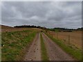 SU5177 : Bridleway towards Banterwick Farm by Oscar Taylor