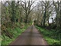 W5979 : Minor road near Blarney by Steven Brown