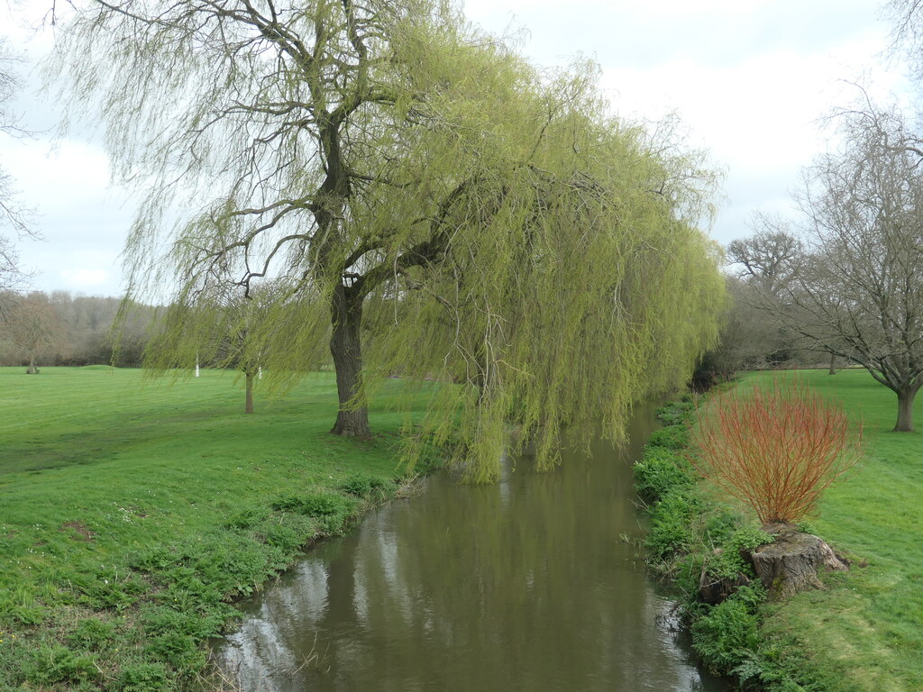 River Hart, downstream of Elvetham Hall... © Christine Johnstone ...