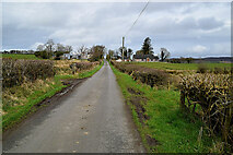 H4481 : Dunmullan Road by Kenneth  Allen