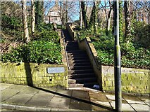 NZ2564 : Croft Stairs leading to City Road, Newcastle by Andrew Curtis