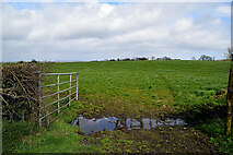 H5466 : Muddy entrance to field, Beragh by Kenneth  Allen