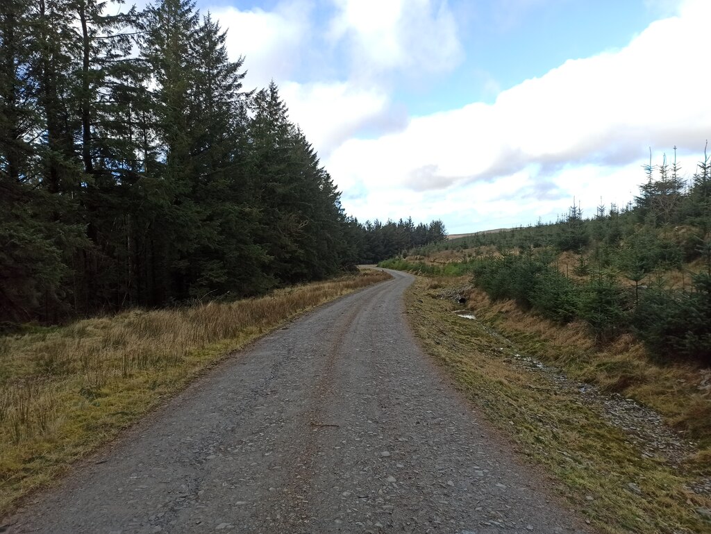 Forest track in Tywi Forest © Dani :: Geograph Britain and Ireland