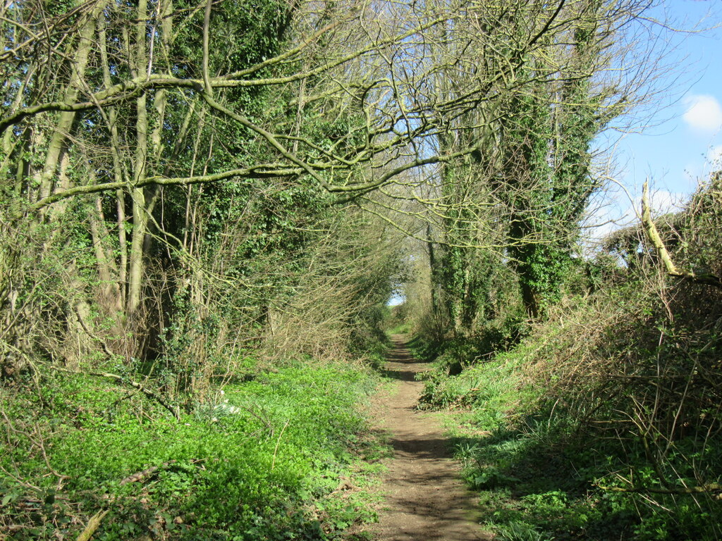 Crook Lane © T Eyre :: Geograph Britain and Ireland