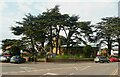 TL1831 : St Katherine's Church behind cedar trees, Ickleford by Humphrey Bolton