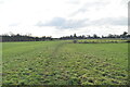 TQ8132 : Footpath across field by N Chadwick