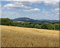 View towards the Wrekin