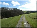 Path through sheep pastures