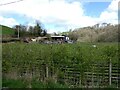 Smallholding beside the lane