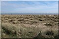 Sand dunes at Caister-on-Sea