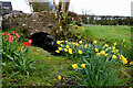 Single arch bridge along Broghan Road, Glasmullagh