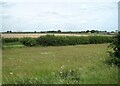 Fields near Babbington Springs Farm