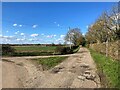 Bridleway and Lane Junction near Wheatley Farm