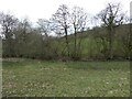 Looking for the footpath line in a field boundary