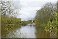 Upper Lake in Perton, Staffordshire