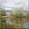 Upper Lake in Perton, Staffordshire