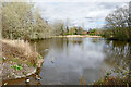 Upper Lake in Perton, Staffordshire