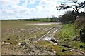 Edge of field by minor road