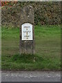 Old Milestone by Cirencester Road, Rodborough Common