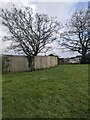 Deciduous trees in early April 2024, New Inn, Torfaen