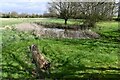 Longham: Small pond