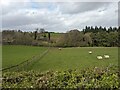 Farmland at Tedstone Delamere