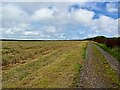 Path close to Norton (Hartland)