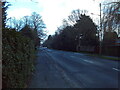 Humberston Avenue, Humberston