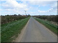 Hedged and straight Manton Lane approaching Hibaldstow