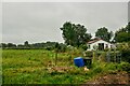 Oldbury-on-Severn : Grassy Field