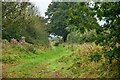 Oldbury-on-Severn : Track