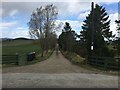 Farm road towards Whinbush Farm