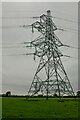 Oldbury-on-Severn : Grassy Field & Pylon