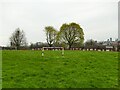 Junior football pitch off Beeston Road