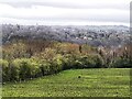 NZ1566 : View South from The Leazes, Throckley by Andrew Curtis