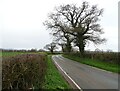 Crib Lane towards Hulgrave Hall