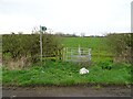 Footpath of Minshull Lane