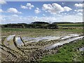 Waterlogged ground, Highmoor