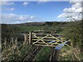 Gate, Newmoor