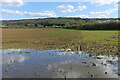 Farmland, Bow Brickhill