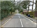 Looking north along Avenue Road