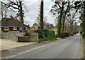 Looking down Avenue Road