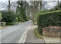 Looking up Avenue Road