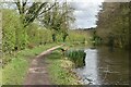 Macclesfield Canal towpath near Brookledge Lane