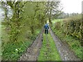 Walking a farm track on a wet morning