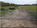 Bridleway to Bullhill