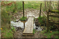 SS9020 : "Footbridge" near Nethercott Farm by Derek Harper