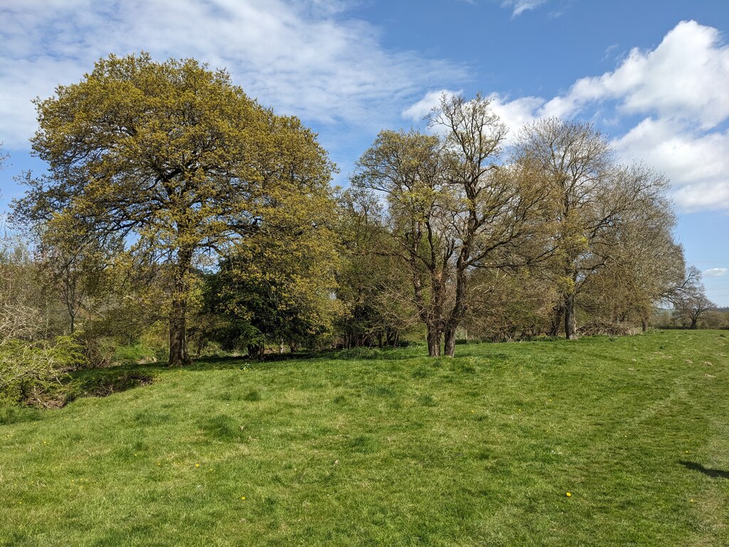 Trees by the River Redlake © Fabian Musto :: Geograph Britain and Ireland