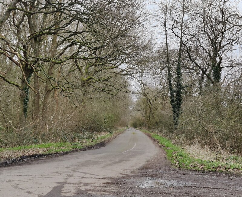 Smithy Lane at Burbage Wood © Mat Fascione :: Geograph Britain and Ireland